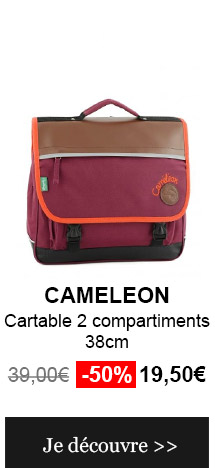 cartable cameleon
