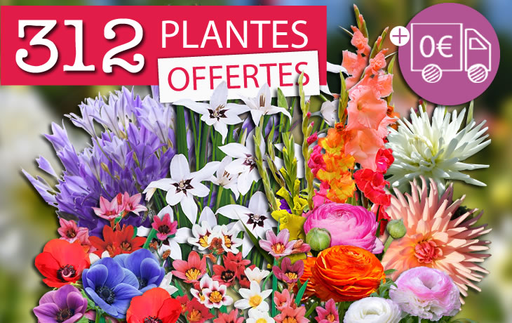 312 plantes offertes la livraison à 0€
